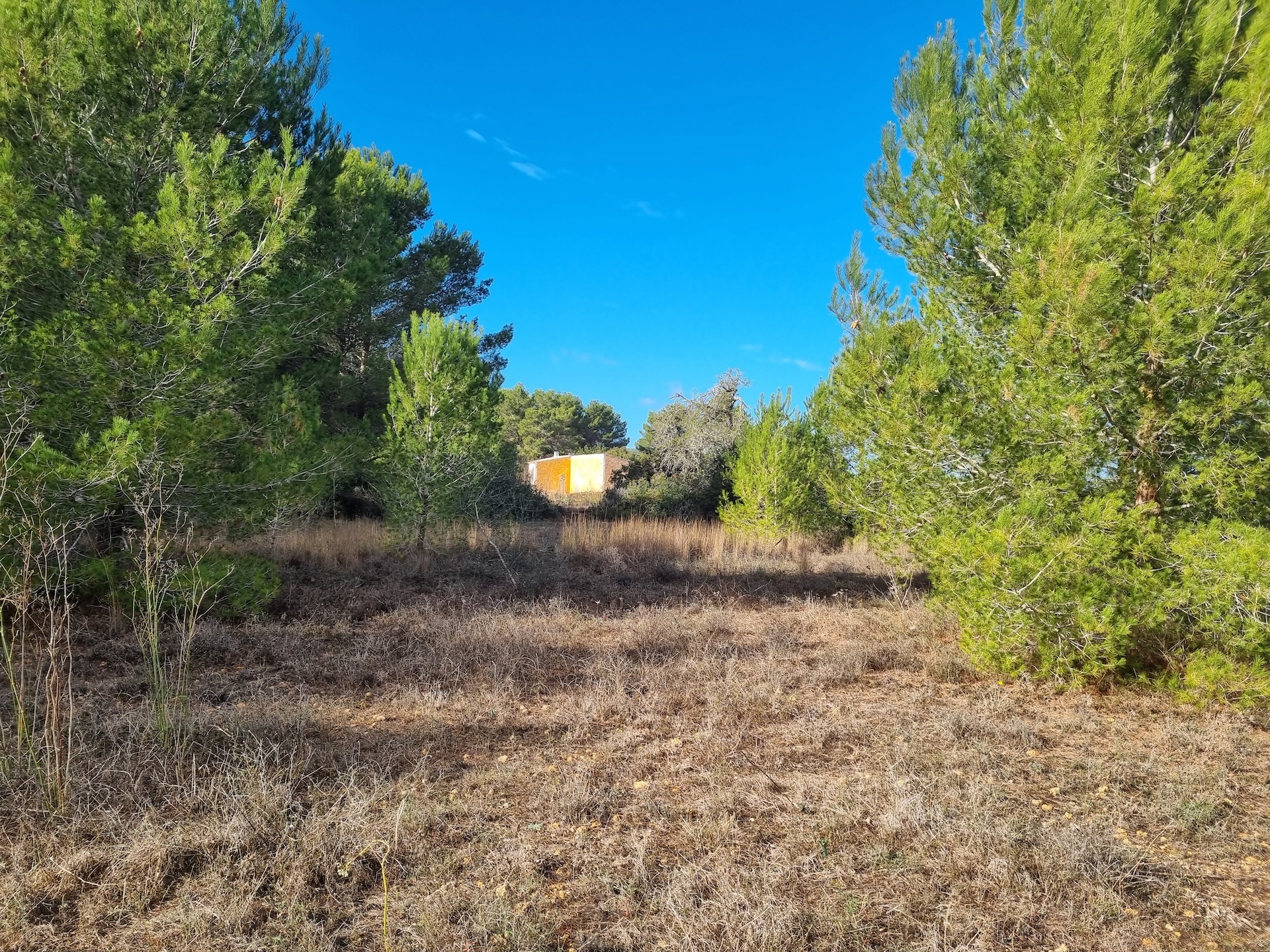Resa Estates plots santa Gertrudis Ibiza for sale te koop 2.jpg